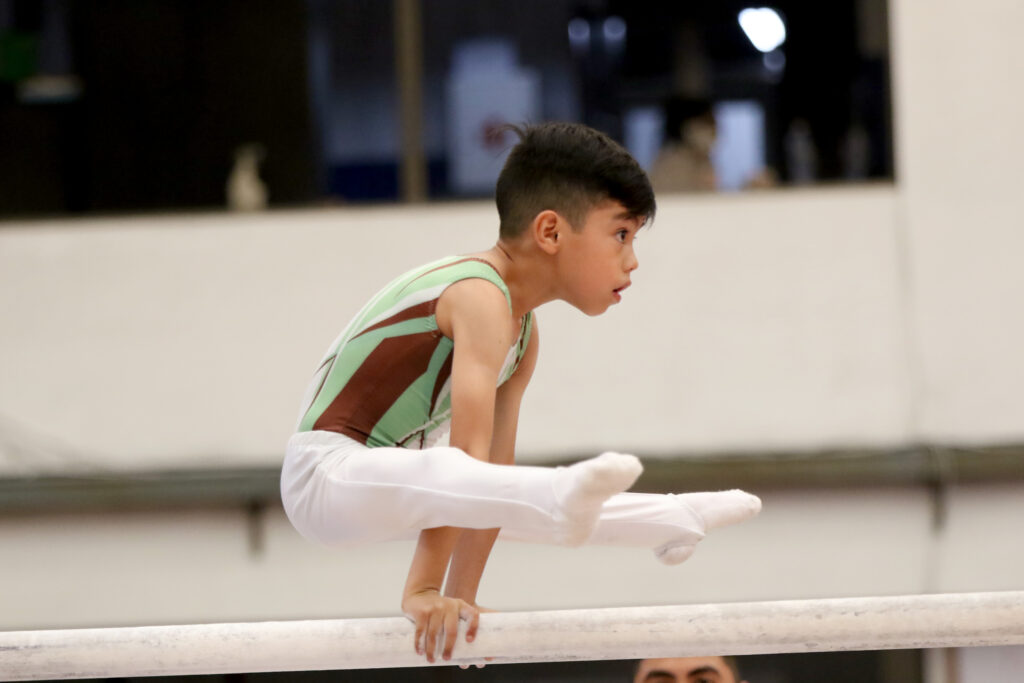 Clasificatorio Regional de gimnasia artística