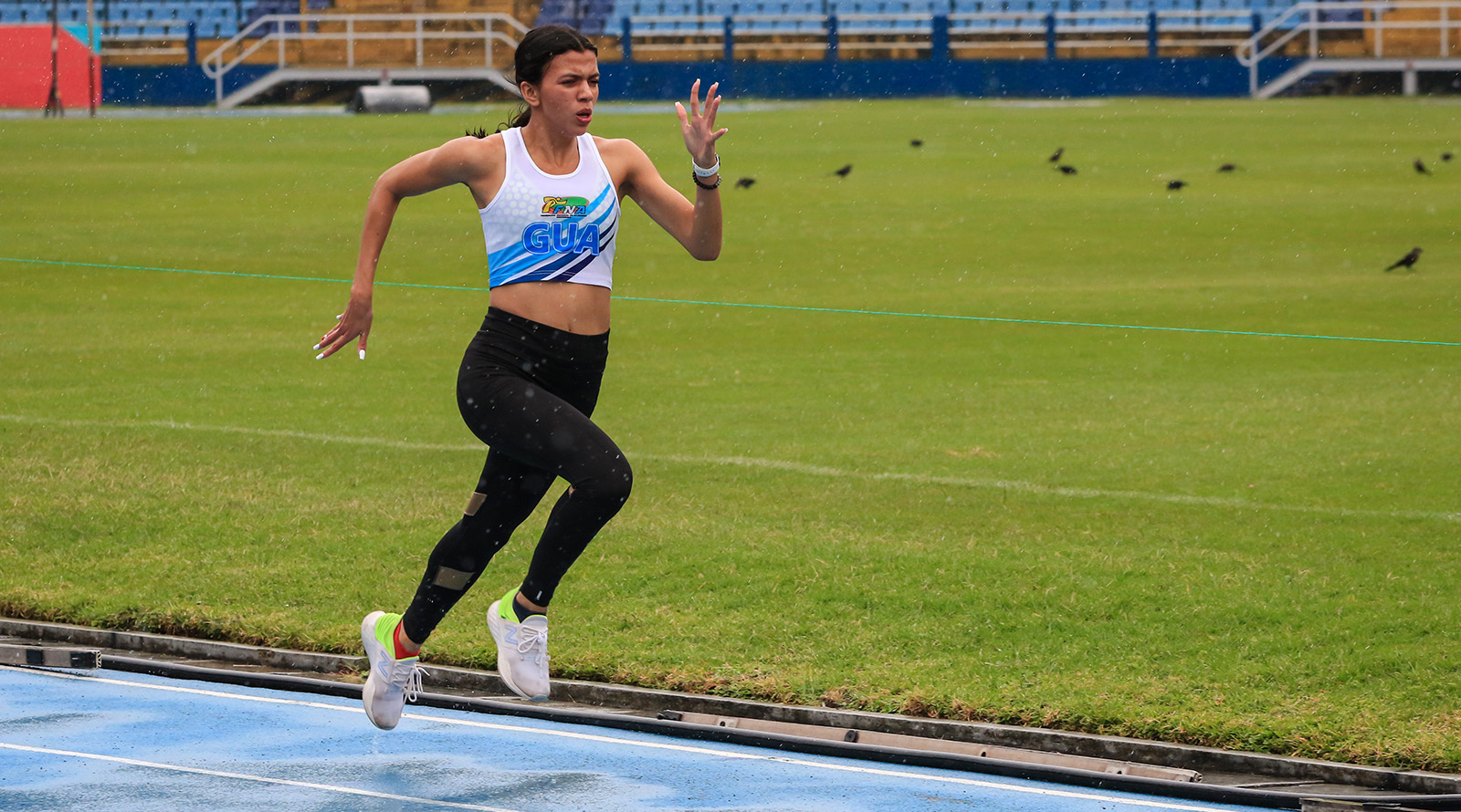 Mariandrée Chacón (atletismo)