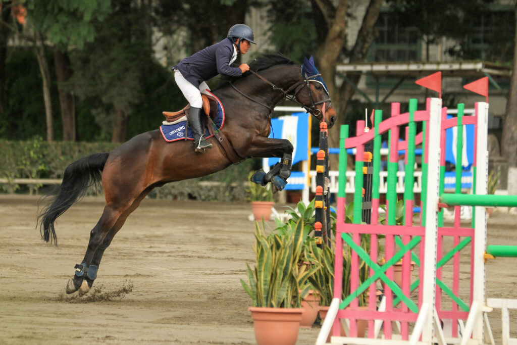 XVIII Festival Ecuestre El Cortijo 2023