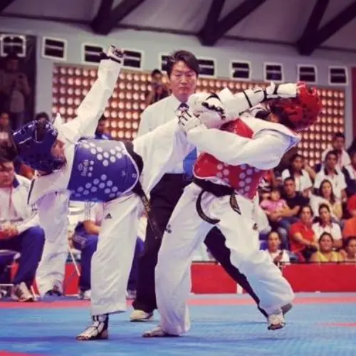 Elizabeth lanzando una patada a su oponente durante el Mundial de Corea. 